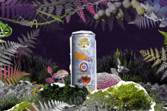 ImmBoo – NatuReal Deal  - advertising animation